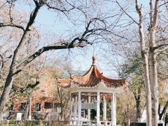 -睦南公园