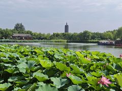 -西海子公园