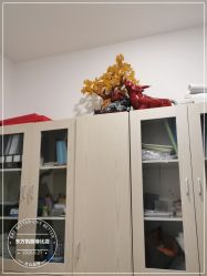 -东方凯丽·美容抗衰会所·菲比店