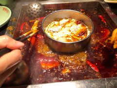 牛油红锅-蜀江龙火锅(339店)