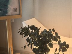 -鲸落SPA(番禺长隆店)