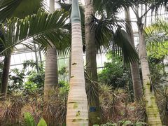 -南山植物园