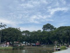 -金砂公园