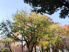 -堤角公园