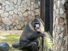 -云南野生动物园