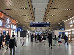 -班达拉奈克国际机场