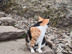 -北高峰