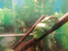 android_upload_pic-上海大自然野生昆虫馆