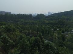 -太湖饭店玉兰厅(自助餐厅)