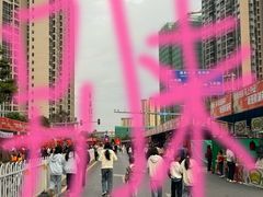 -飞来湖湿地公园