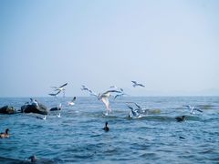 -深圳湾公园(南山区)
