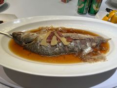 陈酿太雕蒸鲥鱼-小南国(金沙江路店)