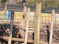 -常州淹城野生动物世界