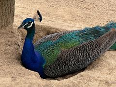 -杭州野生动物世界