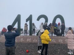 -大冬树山垭口