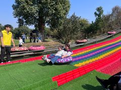 -桃园农庄·桃源宴