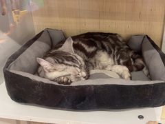 -老炮儿轰趴团建KTV桌游棋牌主题馆(五道口店（底商店))