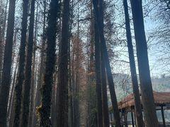 -采石矶景区