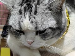 -百金通黄金回收首饰定制维修(珠江路总部)