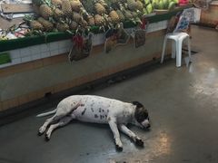 -班赞海鲜市场