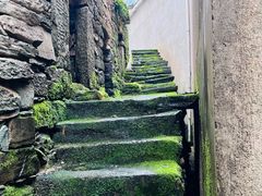 -新安江山水画廊风景区