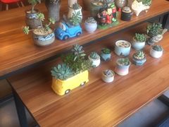 -熊猫邮局(少城店)