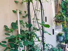 -留香花园(淮海街商业街店)