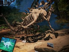 -自贡恐龙博物馆