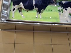 -义顺牛奶公司(新马路老店)