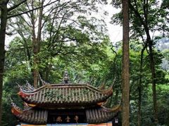 -峨眉山报国寺