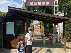 -金山农民画村-枫泾波兰倒置屋