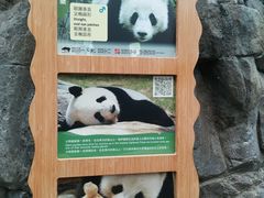 -香港海洋公园