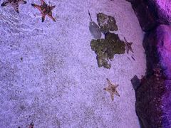 -暹罗海洋世界