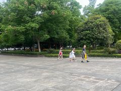 -潜山国家森林公园