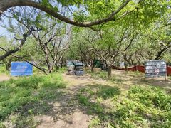 -尚庄度假村·庭台树下·户外烧烤·团建CS·轰趴营地(上庄水库店)