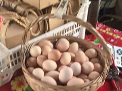 -马陆小张葡萄园农家乐