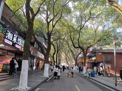 -茶颜悦色(登高路上店)