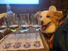 -Luchador摔跤手墨西哥餐厅(恒宇广场店)