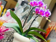 -江南西(地铁站)