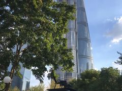 -陆家嘴中心绿地
