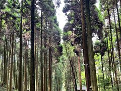 -上色见熊野座神社