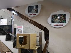 -严国平动物医院(德政总院)