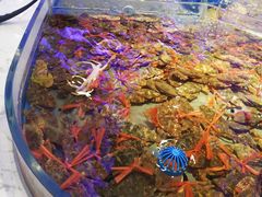 螃蟹-澜悦港海鲜体验主题餐厅