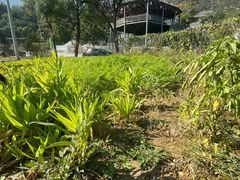 -凤凰小镇·徐州特色菜(凤凰岭店)