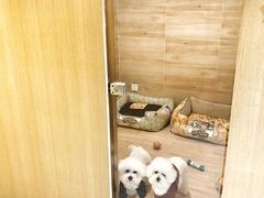 寄养房间-Double Rui宠物酒店
