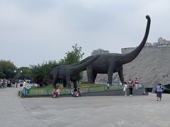 -安徽省地质博物馆