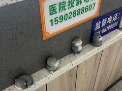 -半岛宠物医院24小时(白果林店)