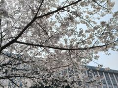 -前进5路汉堡炸鸡(昙华林店)