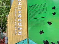 -黑龙江省森林植物园