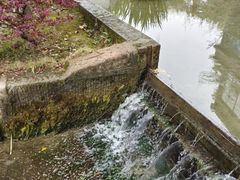 -蜀水别园(青杠树店)